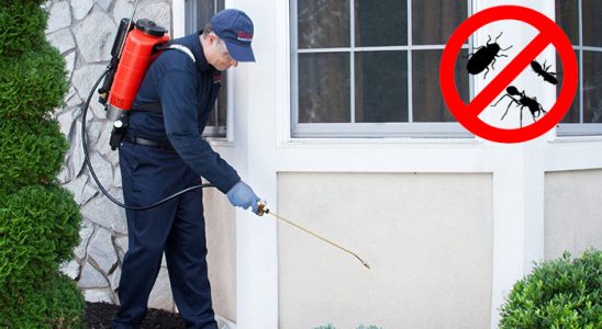 Gölköy Böcek ve Haşere İlaçlama böcek ilaçlama ve haşere kontrolü — ilaclama-tr.com